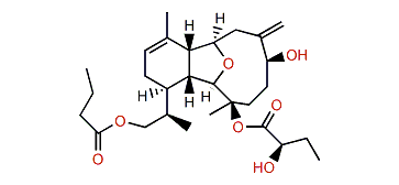 Hirsutalin A